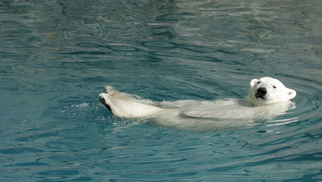 Warm water